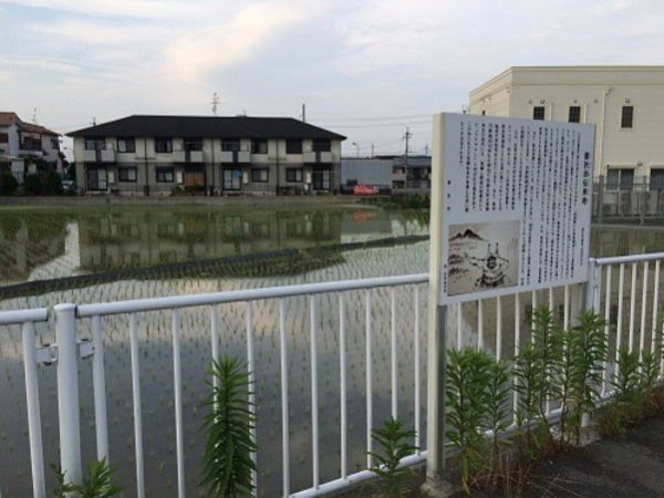 腰折田