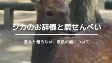鹿の絵(送料によってお値引きする場合もあります) 鹿6頭 ：プライザー 塗装済完成品 N(1/160) 79179 | 動物,人形