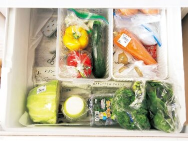 食べ物が腐りやすい季節！安全に長期保存できるテクまとめ