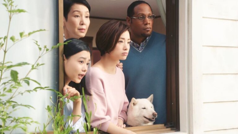 みんな大好きカイくんも！ソフトバンクCM「白戸家」のキャスト一覧